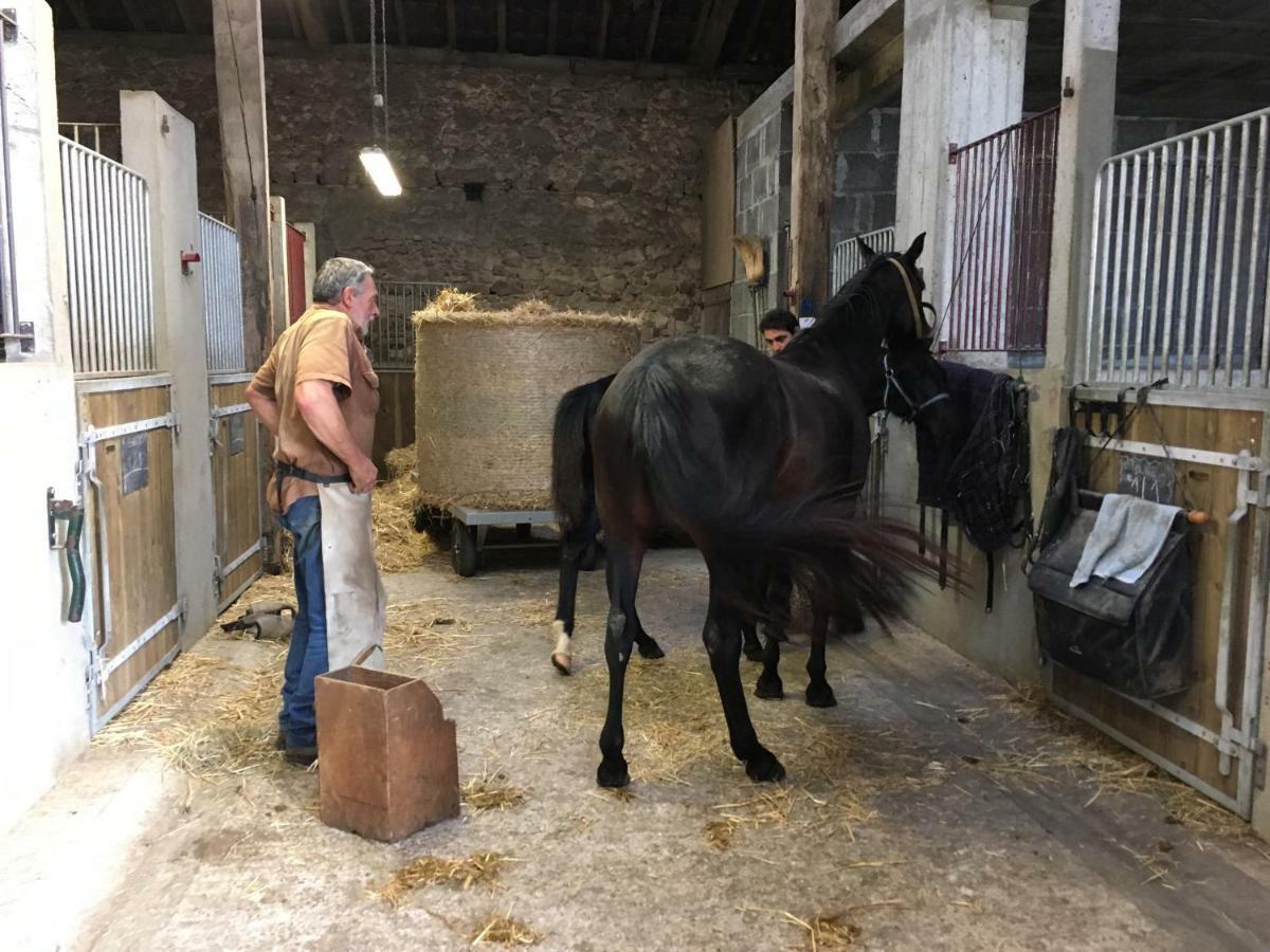 Ferme Gite Equestre En Charente Конфолан Екстер'єр фото