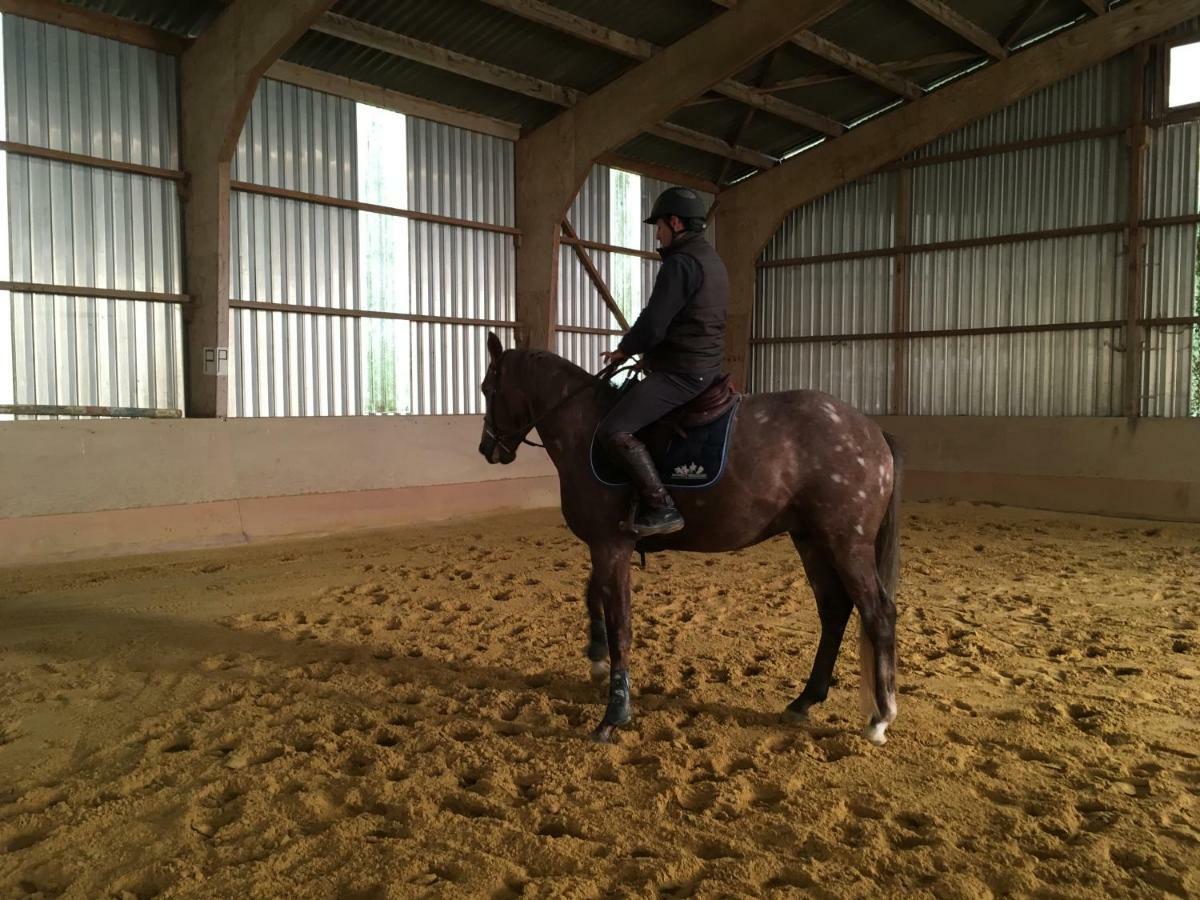 Ferme Gite Equestre En Charente Конфолан Екстер'єр фото